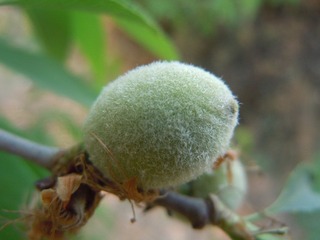 DSCN2586.JPG