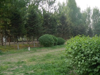 DSCN2588.JPG