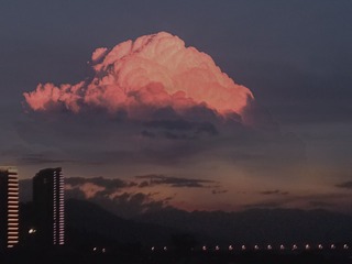 427738
