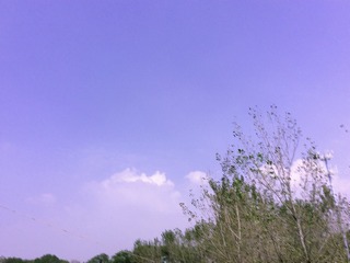 AFDA3A9D-503C-473F-9FF2-54CA942E4743/L0/001
