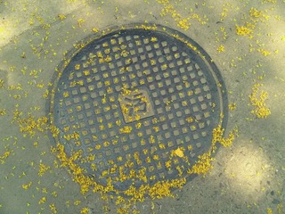  谜语3
