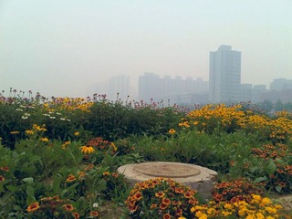  谜语4
