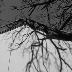 IMG01856-20120314-1244s.jpg