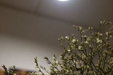 P3011101.JPG