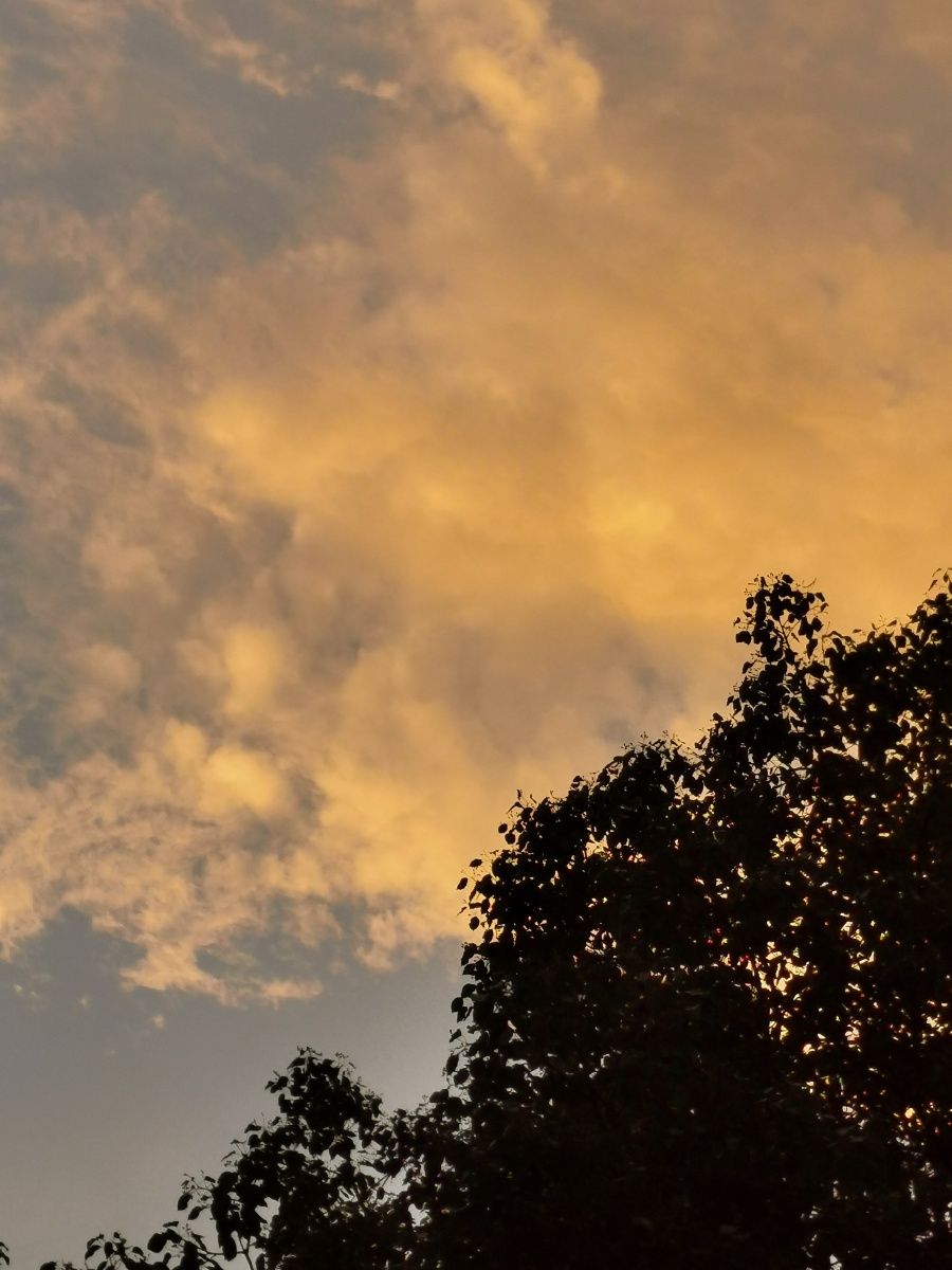 暮色下的天空总是美丽的远处的云霞点缀着黄昏