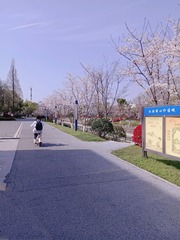 216469