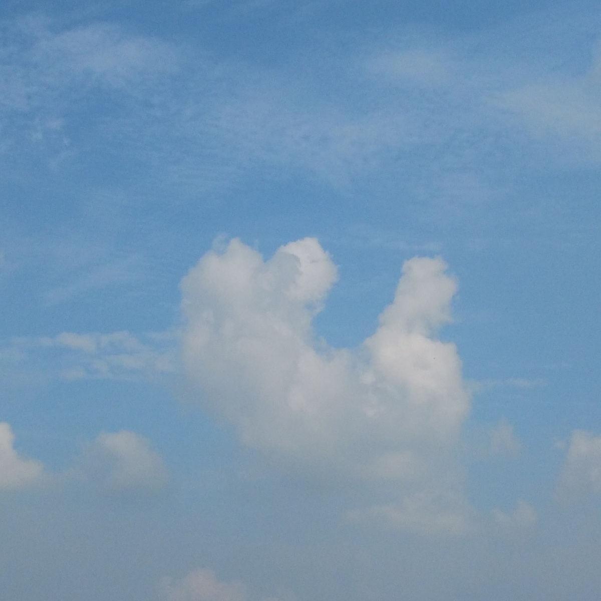 突然发现我拍了很多像小动物的云朵呢