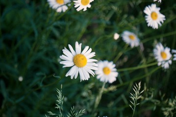 _1020202.jpg