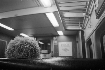 _1020096.jpg