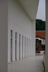 8462A978-D06A-476E-9131-9F14FBD77E05/L0/001