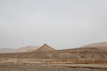 _MG_9733.JPG