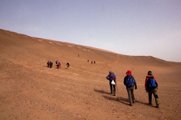 _MG_9943.JPG