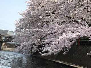 E8637808-52C3-4799-BE81-6011DD915EF1/L0/001