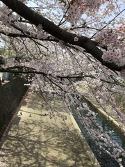 C3442515-A1B9-4271-A73F-68150104DB48/L0/001