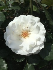 038B3037-A6D6-4EF2-94BD-40233B95E100/L0/001