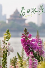 F3294549-8D52-4754-8102-E669840EC9DC/L0/001