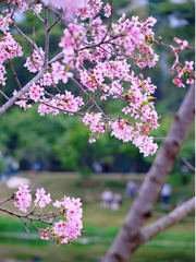 A5518F42-C8F8-4D53-A873-6B588E0AD188/L0/001
