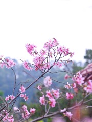 7F6F025B-E929-4F79-8EAC-7C0D1C0A6C32/L0/001