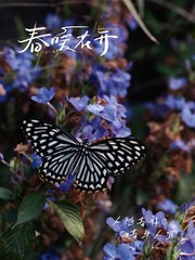 94188D8E-02D8-4005-B9CF-96AA0726335E/L0/001