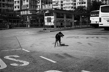 去内地旅游时.........