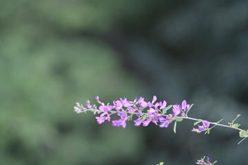 1000010580