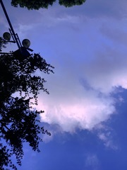 5DC61E8E-9521-40D3-9A28-43D8C16D804E/L0/001