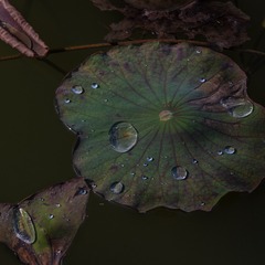 2C491001-7F67-4BD7-B5A9-942F7F79ACF0/L0/001