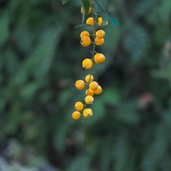 D71126FF-A434-4019-BB78-94659A0010BB/L0/001