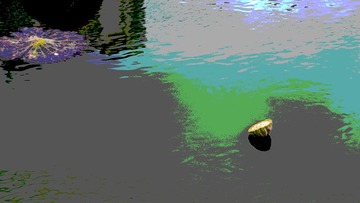 9635444F-2394-4C03-806C-159E3288BF0B/L0/001