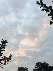 169F25BF-EE70-4268-9CB3-00C49C57567A/L0/001