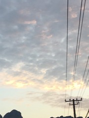 CF0C13C5-2F9D-440B-B381-8881BC4F2EFE/L0/001