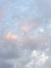 80253CB1-573A-4652-B6D9-9427B9D3578B/L0/001