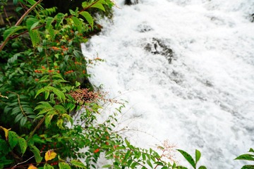 FFJ_4489.jpg