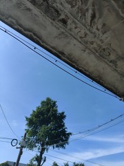 1000033742