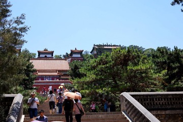 DSC01980.jpg