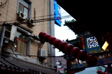 DSC02211.jpg