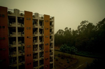 DSC04561-Lr.jpg