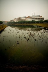 DSC04569-Lr.jpg