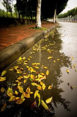 DSC04571-Lr.jpg