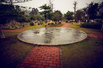 DSC04589-Lr.jpg