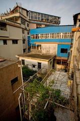DSC06111-CR.jpg