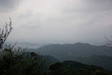 DSC07089-CR.jpg