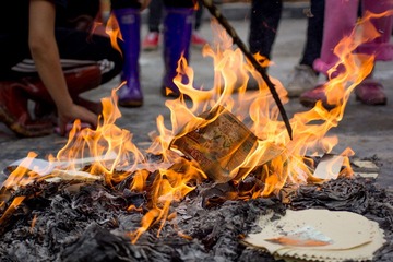 DSC07651-Lr.jpg