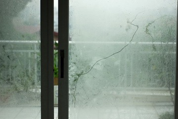 DSC08179-CR.jpg