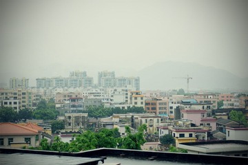 DSC08181-CR.jpg