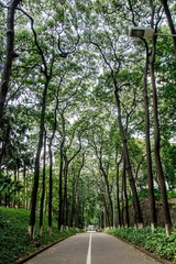 DSC08288-Lr.jpg