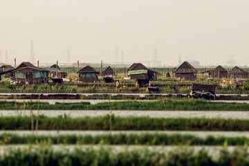 DSC08438-Lr.jpg
