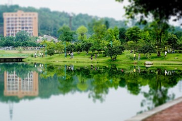 DSC08724.jpg