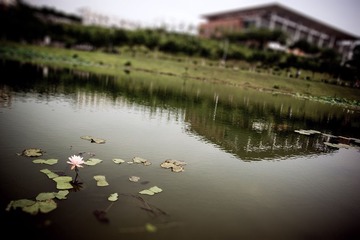 DSC08813-CS6-RAW.JPG