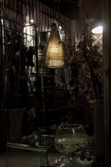 DSC07881-LR.jpg